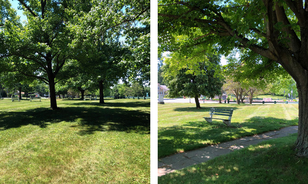 Hole four on the disc golf course at HCC